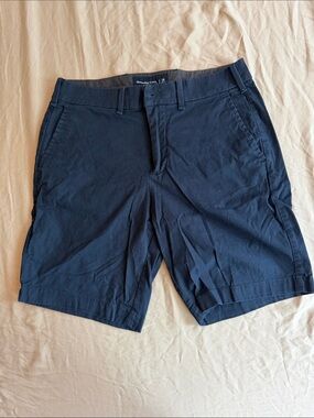 Abercrombie & Fitch Navy Flat-Front Men's Shorts